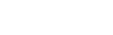FDV Việt Nam